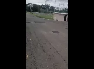 Ya no quieren más parches.