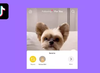 TikTok prepara un botón para repostear una publicación, al fiel estilo Twitter. (foto: TikNewsTok)