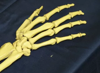 Aparentemente antes de morir Norma vivió unos dos años con el cadáver, de la que se presume es su madre, en la misma casa. Foto: Ilustrativa Pixabay