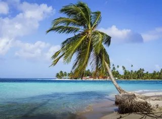  La víctima y sus dos acompañantes habían salido a bucear. Imagen ilustrativa: Pixabay