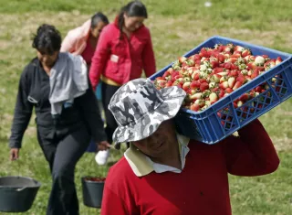 La invasión rusa a Ucrania ha hecho saltar los precios de las materias primas. EFE
