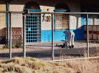 El ciudadano atacado por las abejas fue rescatado por unidades del Cuerpo de Bomberos.