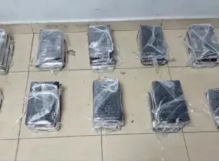 La droga estaba oculta entre unos tallos.