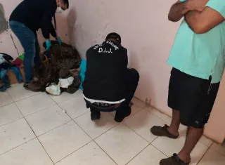 El hombre fue aprehendido durante el desarrollo de la operación denominada &quot;Sensei&quot; 