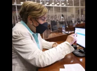 Diputada Mayín Correa