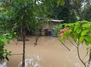 Bomberos monitorean ríos en las fincas bananeras, en Barú.