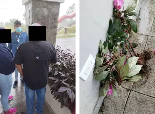 La pareja había hurtado algunas plantas ubicadas en la entrada del distrito.