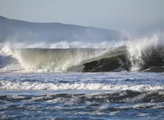 Imagen ilustrativa: Pixabay