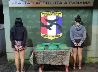 Llevaban la droga  oculta en cajas de cartón.