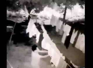 Fue captado cometiendo la fechoría por las cámaras de un sistema de video vigilancia de una casa.