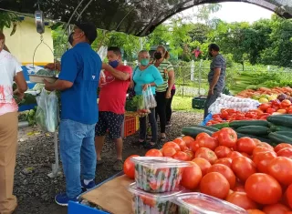 Las agro tienda son parte de las estrategias que adelanta el gobierno nacional, para aliviar el alto costo de la canasta básica