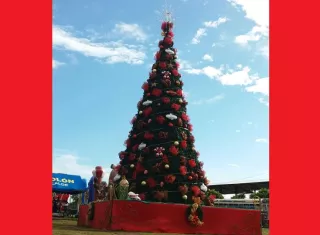 Para el 11 de diciembre, la alcaldía de Colón tiene programado su tradicional encendido de luces de Navidad. Foto: Archivo