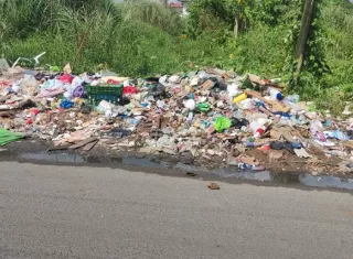 También implementar es una línea de atención ciudadana para la recepción de quejas e información sobre la mala disposición de los desechos. 