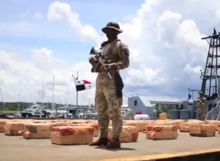 Por segundo año consecutivo, estamentos de seguridad superaron cifras récord en incautaciones de drogas.