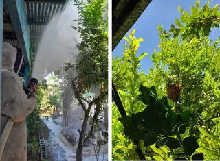 Las autoridades no han podido retirar el cadáver de la escena.