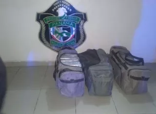 Los paquetes de droga estaban embalados en tres maletines.