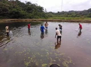 Estanque donde los jóvenes cultivan tilapias en el Centro de Custodia y Cumplimiento Basilio Lakas.