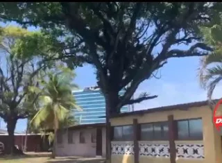 El joven se encontraba cerca de un árbol cuando los hombres se lo llevaron a la fuerza.
