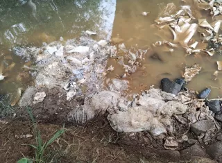 La investigación del MP tiene como objetivo determinar la comisión de un delito ecológico en este río.