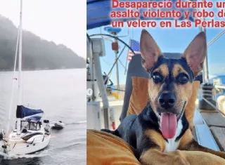 Los dueños del velero indicaron que los delincuentes se llevaron su mascota, una perrita criolla y piden ayuda para encontrarla. 
