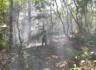  Incendio de masa vegetal en la Reserva Forestal Alto Guarumo, en Veraguas.