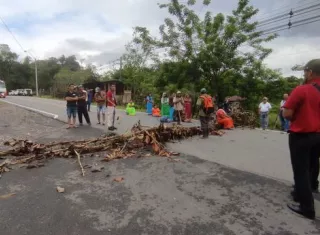 Protesta escolar en Bocas del Toro.  (Foto: Pulso Informativo)
