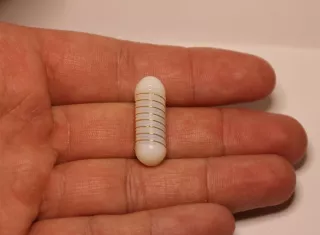 El nuevo dispositivo ingerible capaz de favorecer la estimulación de la liberación de grelina. EFE