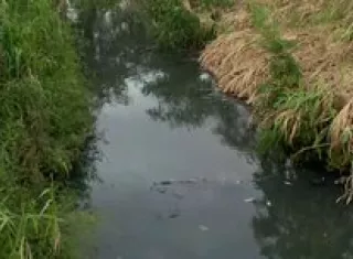 No es la primera vez que ocurre esta situación en este río.