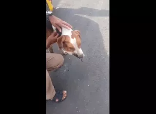 El caso ocurrió en La Chorrera.