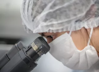 La investigación puede abrir la puerta a nuevas dianas terapéuticas en un cáncer cuya supervivencia a los cinco años ha ido aumentando pero sigue siendo baja. EFE