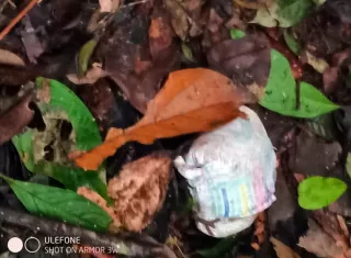 Fotografía cedida por las Fuerzas Militares de Colombia en la que se ve un pañal usado encontrado a 560 metros del lugar del siniestro aéreo del Cessna 206. EFE