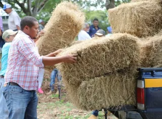 Un total de 30 pequeños productores coclesanos, afectados por la sobrecarga climática, recibieron ayudas de parte del Mida.