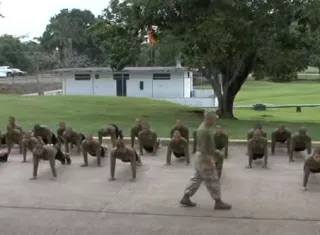 Fase de entrenamiento.