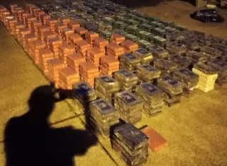 Los estupefacientes decomisados.