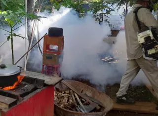 A medida que avanza la temporada lluviosa aumenta el número de posibles criaderos del mosquito transmisor del virus del dengue y de otras enfermedades.