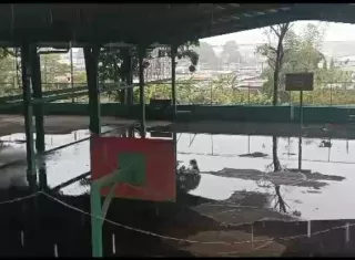Estado deplorable del gimnasio escolar.