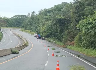 El pick up quedó prácticamente incrustado de lado en el árbol. 
