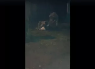 El hecho ocurrió en la comunidad de Puerto Piña, en la provincia de Darién