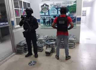 La droga estaba escondida entre unas matas de tallo.