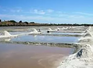 Salinas en el interior del país.