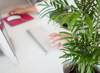 El programa de práctica del estudiante se desarrolla en el tercer trimestre, en los diferentes bachilleratos. Imagen ilustrativa / Pixabay