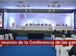 La Conferencia de las Partes celebra reuniones ordinarias cada dos años conforme a lo establecido en el Reglamento Interior de la COP. Imagen ilustrativa