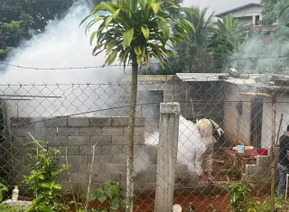 Funcionarios del Minsa realizan jornadas de fumigación.