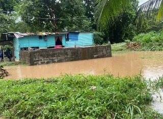 Caída de árboles y afectaciones en las residencias durante el mal tiempo 
