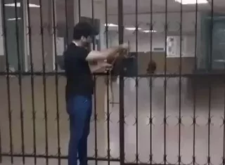 Proceden a cerrar puerta en la facultad.