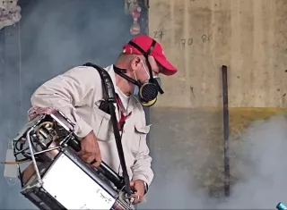 Dando guerra al mosquito 