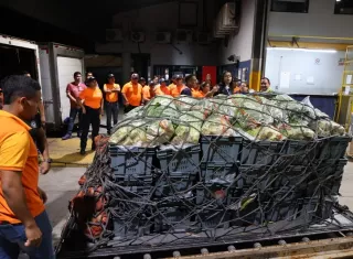 El Gobierno espera transportar más de  68 mil libras de productos.