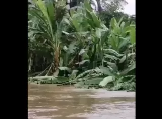  Preliminarmente se habla de unas 900 familias afectadas en 15 comunidades por la crecida del río Cricamola.