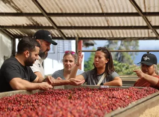Los expertos internacionales pudieron conocer importantes avances de la industria del café de especialidad de Panamá. Foto: SCA