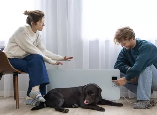 Especialistas recomiendan que se debe priorizar el bienestar del animal ante una custodia. Foto ilustrativa / Freepik. 